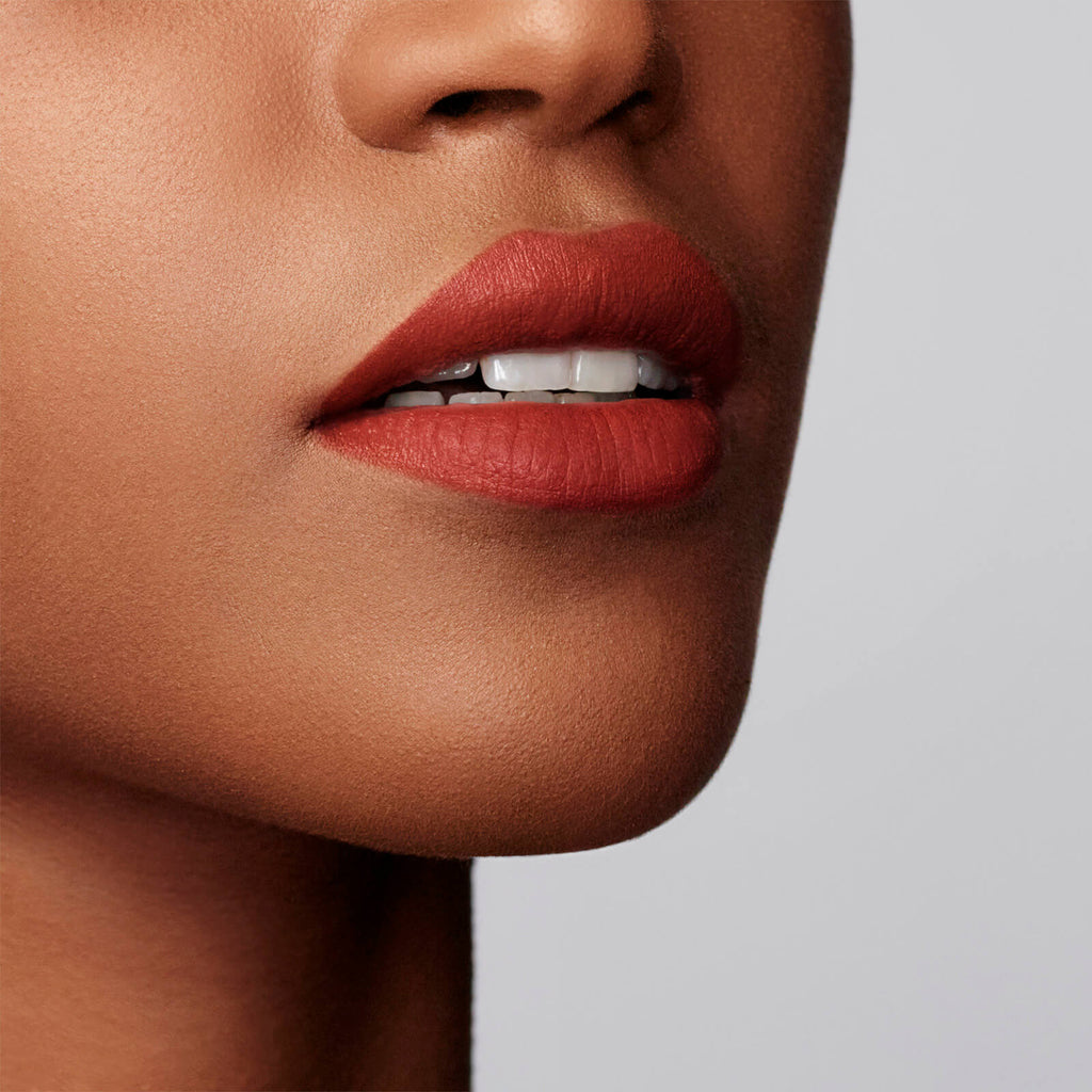 Lip Power Matte 3g