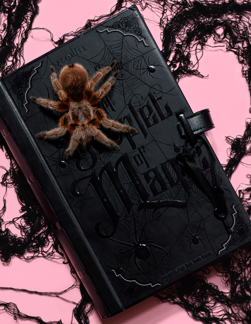 A Droplet Of Magic Halloween Eyeshadow Palette by P. Louise Cosmetics