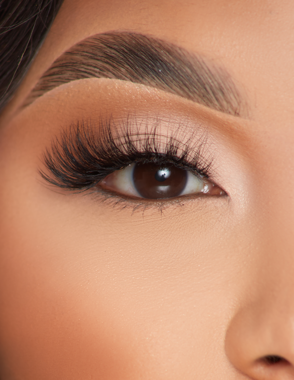 Alluring Affair False Lashes by P. Louise Cosmetics