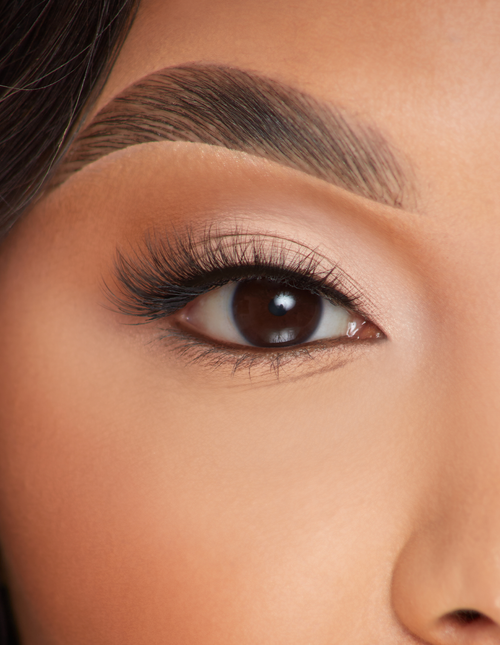 Lasting Lust False Lashes by P. Louise Cosmetics