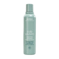 Scalp Solutions Balancing Shampoo by Aveda