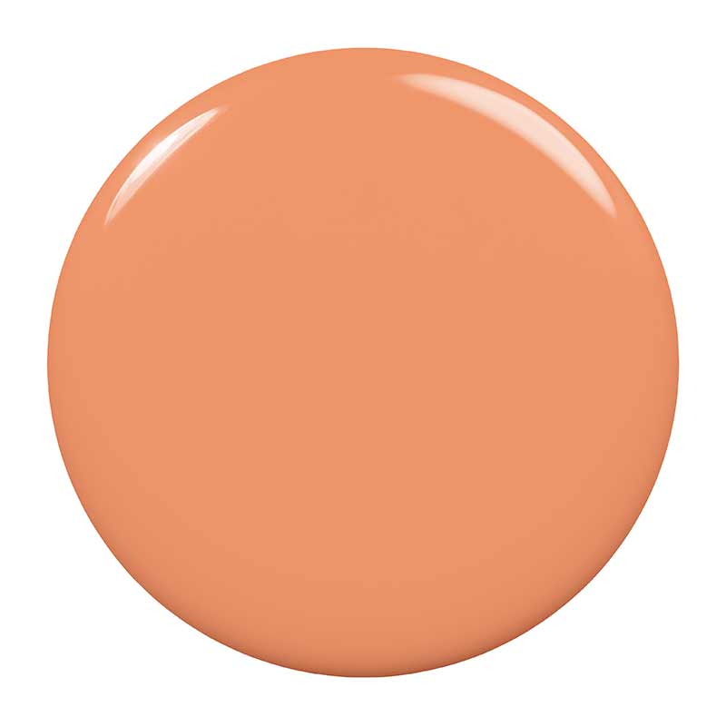 Original Nail Polish Summer Collection Zest Has Yet To Come by Essie