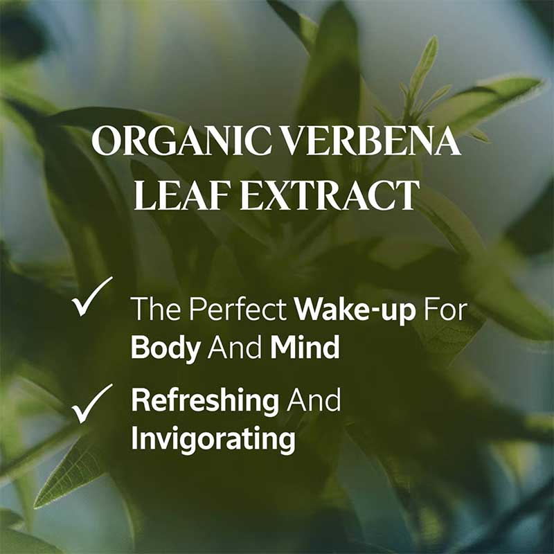 Shea Verbena Hands & Body Liquid Soap by L'OCCITANE