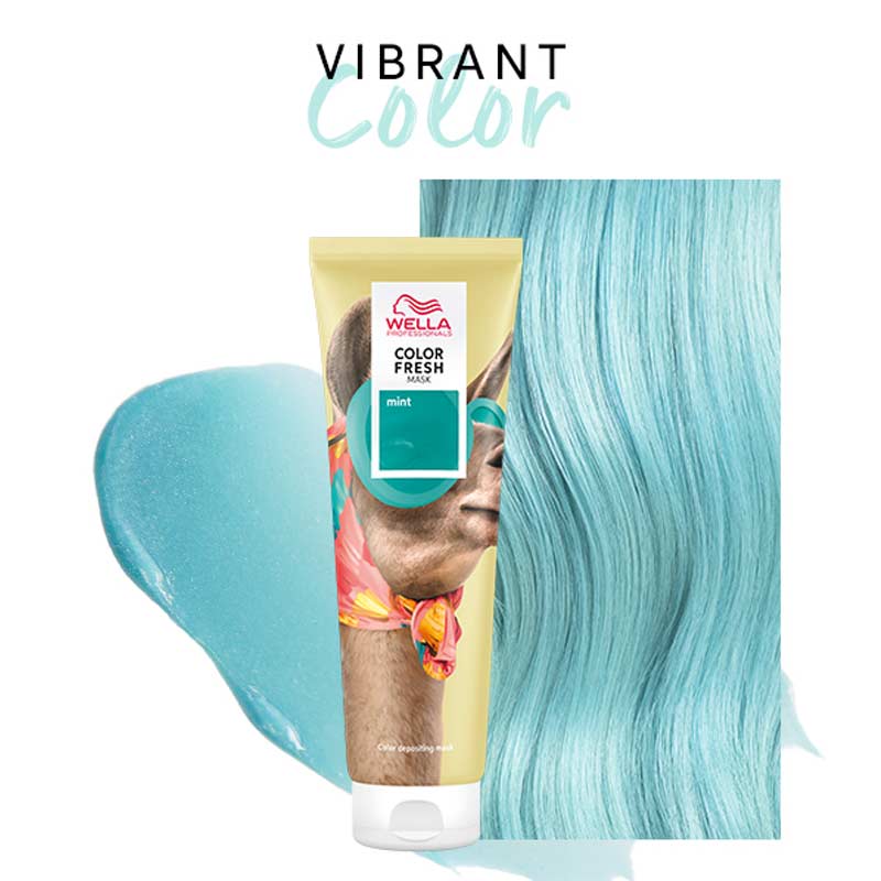 Colour Fresh Mask For Coloured Hair by Wella Professionals